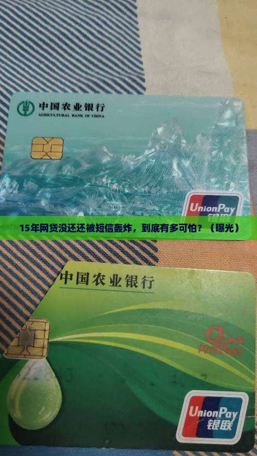 15年的网贷没还还一直收到短信催收怎么办