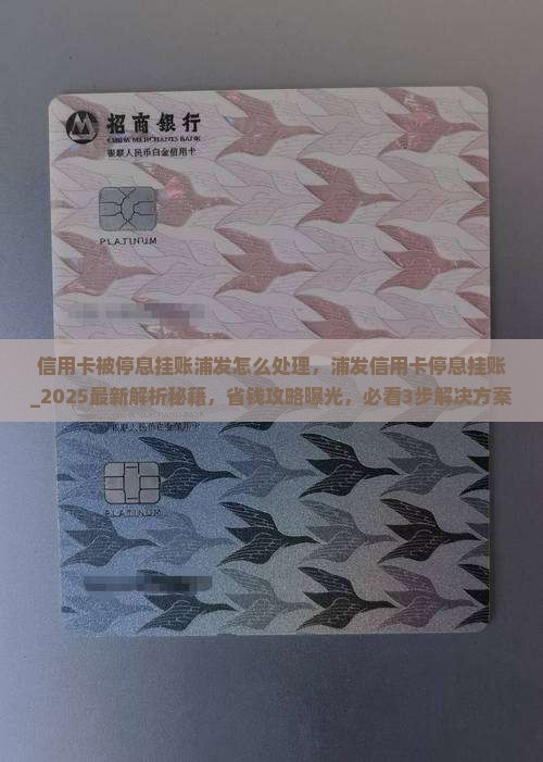 信用卡被停息挂账浦发怎么处理