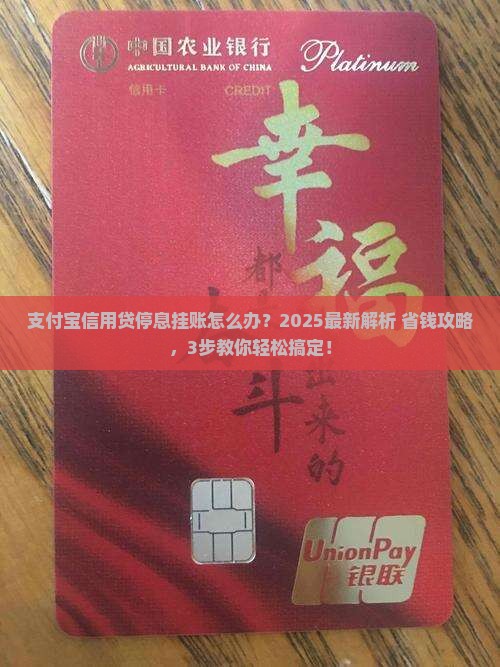 支付宝信用贷停息挂账详解