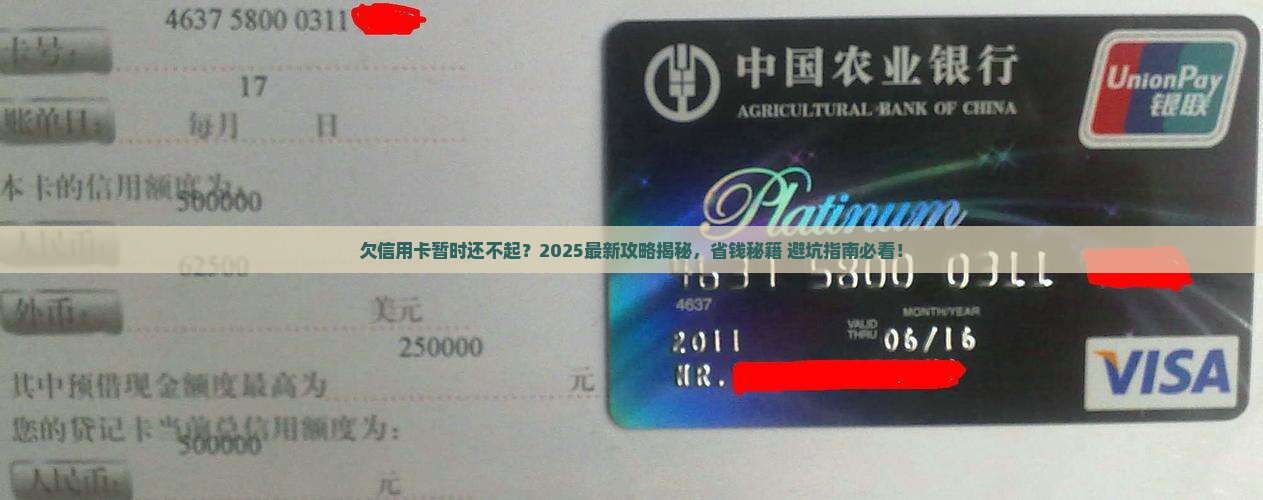 欠信用卡暂时还不起怎么办