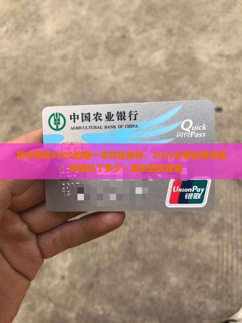 京东网贷5000逾期一年罚息
