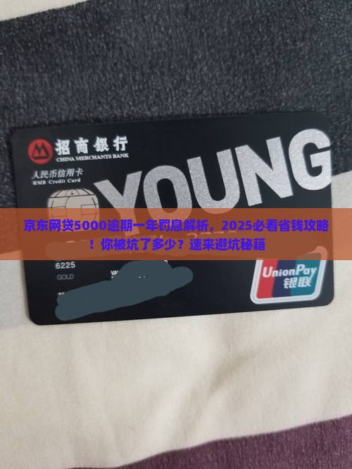 京东网贷5000逾期一年罚息