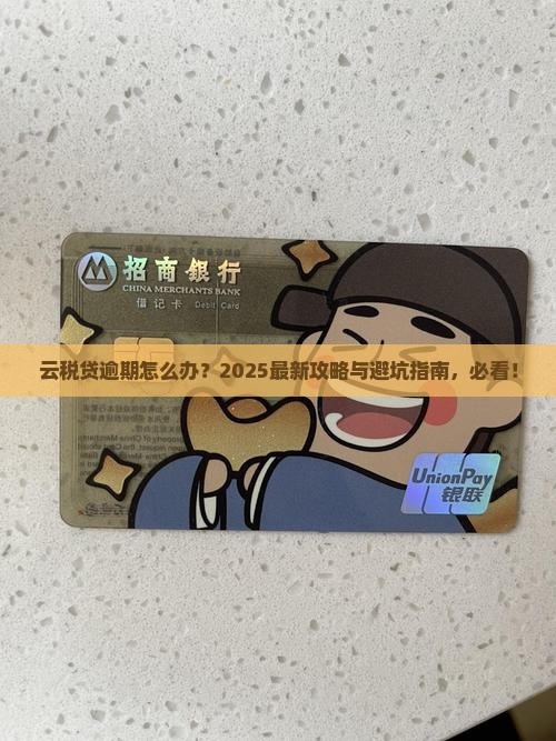 云税贷逾期怎么办