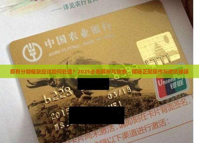 即有分期催款应该如何处理