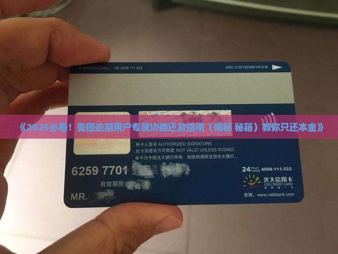 美团月付协商只还本金