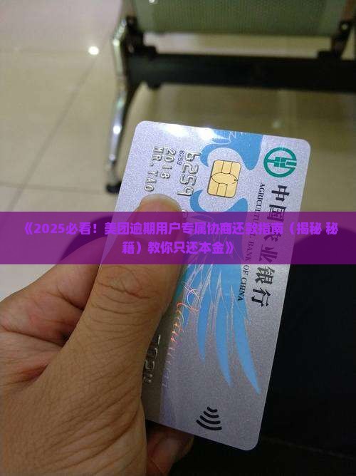 美团月付协商只还本金