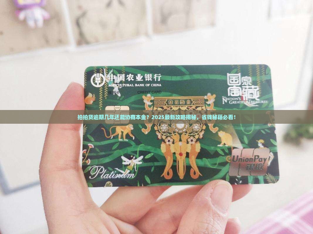 拍拍贷逾期几年可以协商还本金