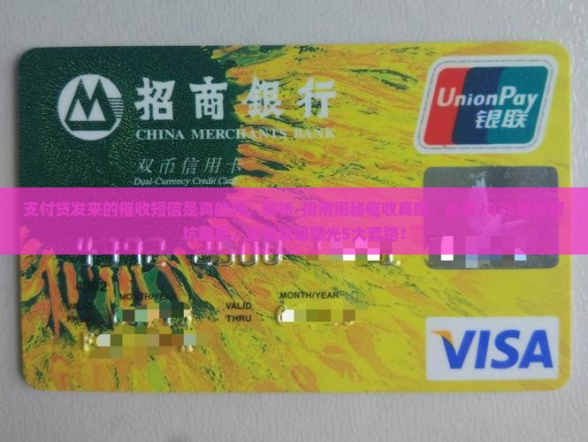 支付贷发来的催收短信是真的吗