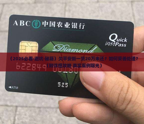 欠平安新一贷20万未还应该怎么处理 欠平安新一贷20万未还应该怎么处理