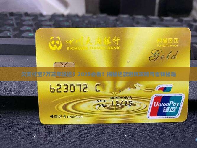 欠支付宝7万三年没有还