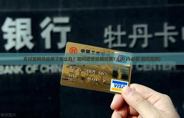 支付宝网贷逾期了怎么办