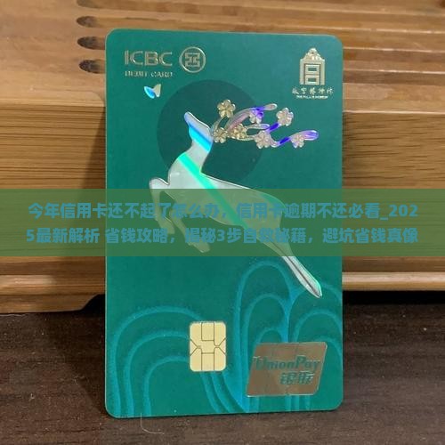 今年信用卡还不起了怎么办