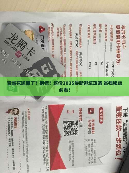 普融花逾期查询