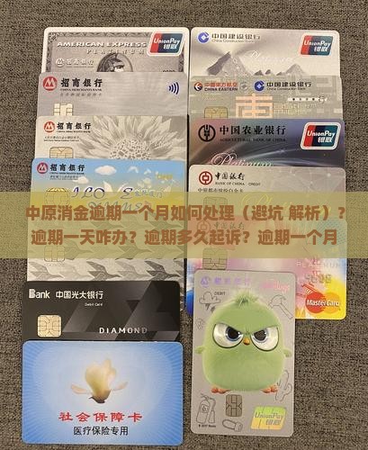 中原消金逾期一个月如何处理