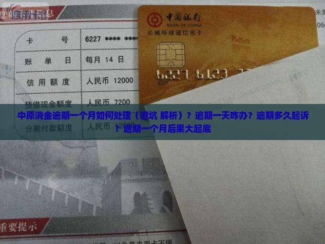 中原消金逾期一个月如何处理