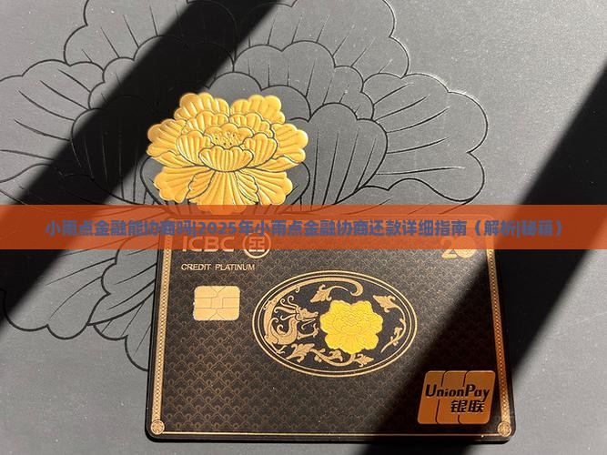 小雨点金融能协商吗怎么办