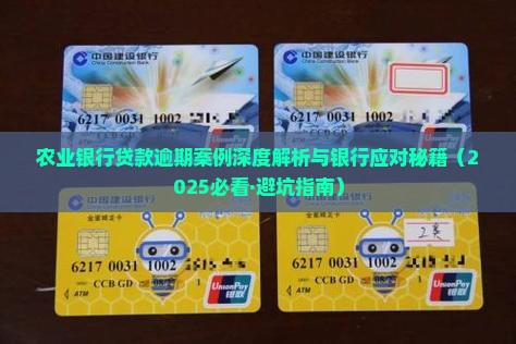 农业银行贷款逾期案例分析及应对措施