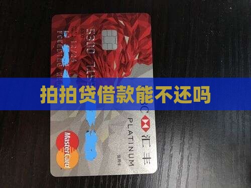拍拍贷借款能不还吗