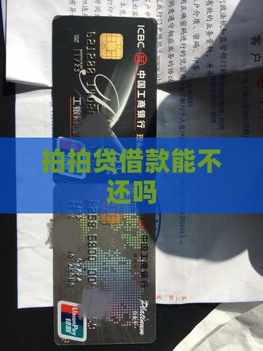 拍拍贷借款能不还吗