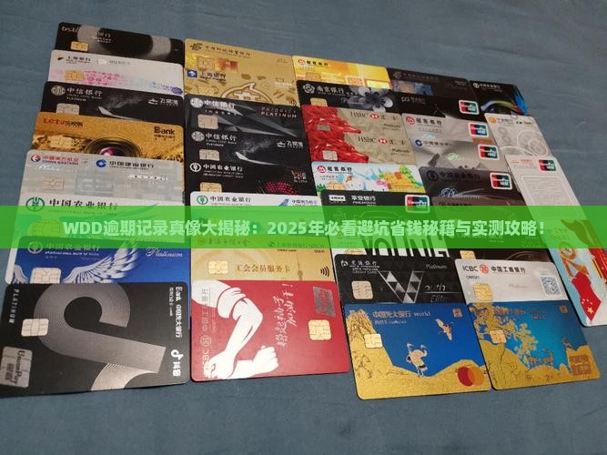WDD逾期记录是什么