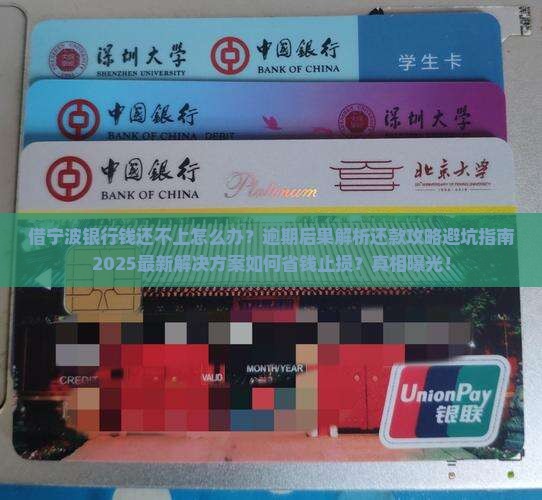 借宁波银行钱还不上怎么办追踪和解决办法