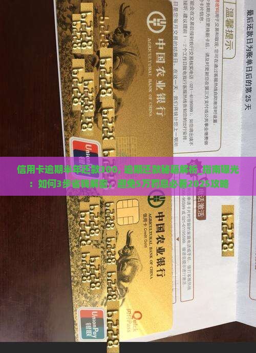信用卡逾期半年还款300