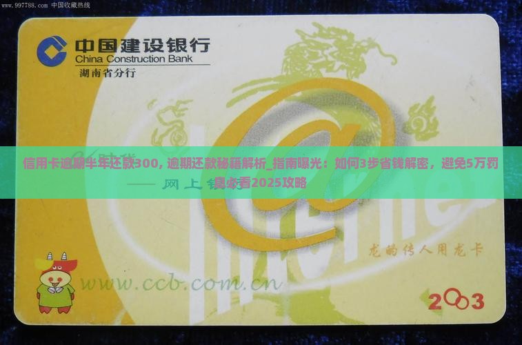 信用卡逾期半年还款300