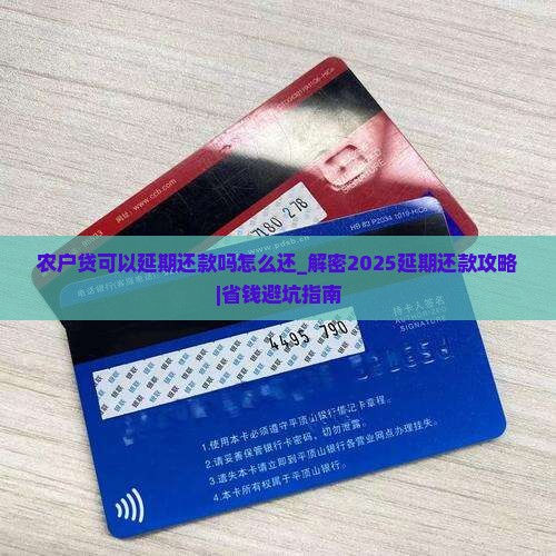 农户贷可以延期还款吗怎么还