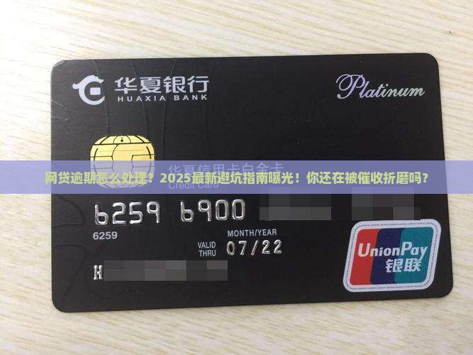 网贷逾期怎么处理最新方案公布了吗