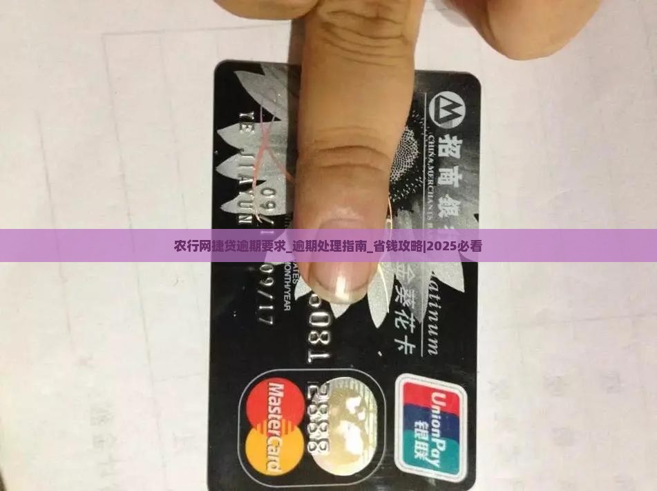 农行网捷贷逾期要求