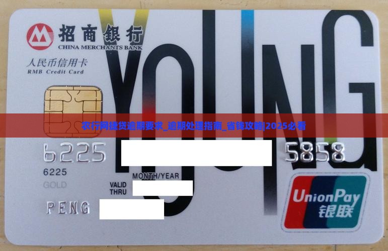 农行网捷贷逾期要求