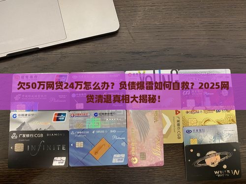 欠50万网贷24万怎么办