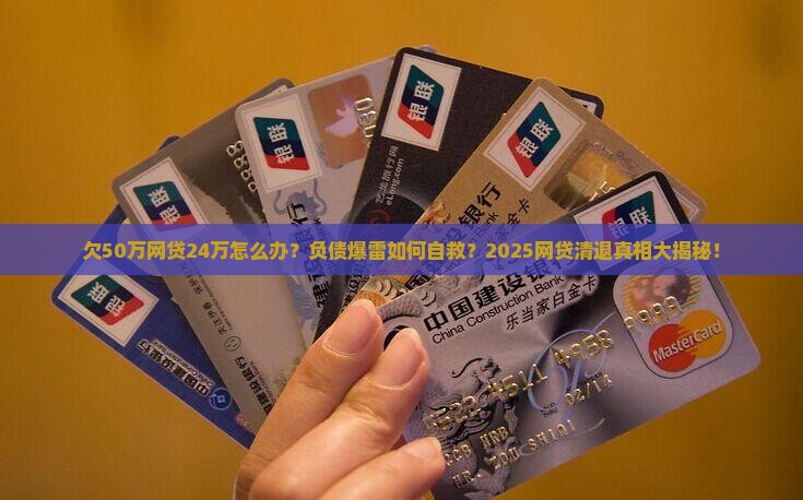 欠50万网贷24万怎么办