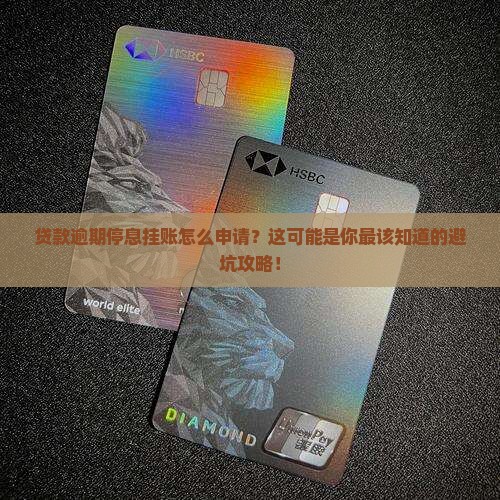 贷款逾期停息挂账自己怎么去申请