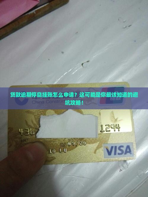 贷款逾期停息挂账自己怎么去申请