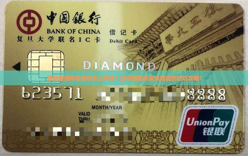 贷款逾期停息挂账自己怎么去申请
