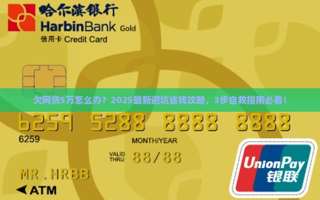 欠网贷5万我该怎么办