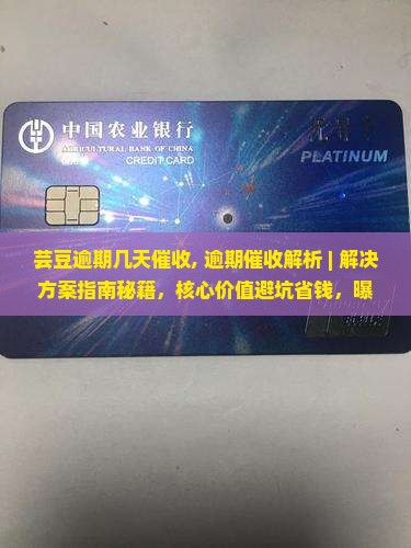 芸豆逾期几天催收