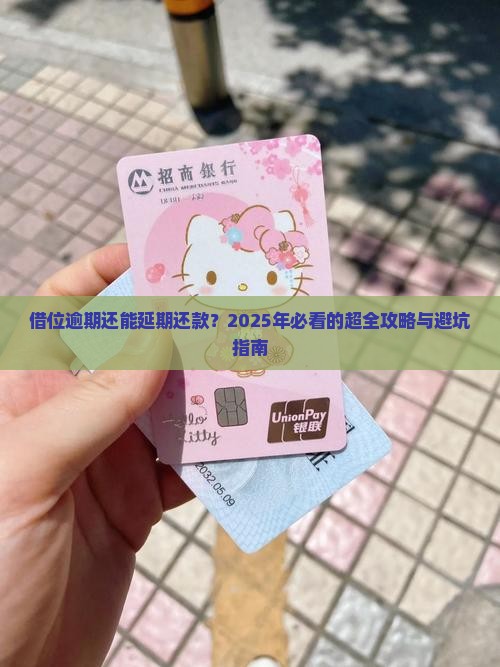 借位逾期怎么办理延期还款的流程是怎样的