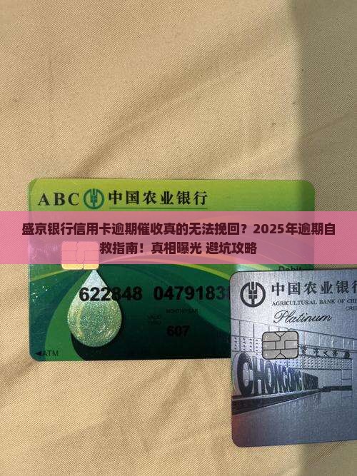 盛京银行信用卡逾期催收