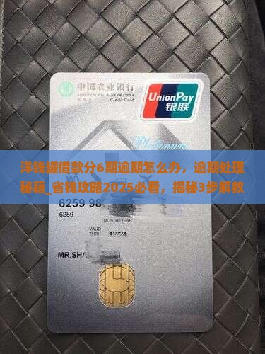 洋钱罐借款分6期逾期怎么办