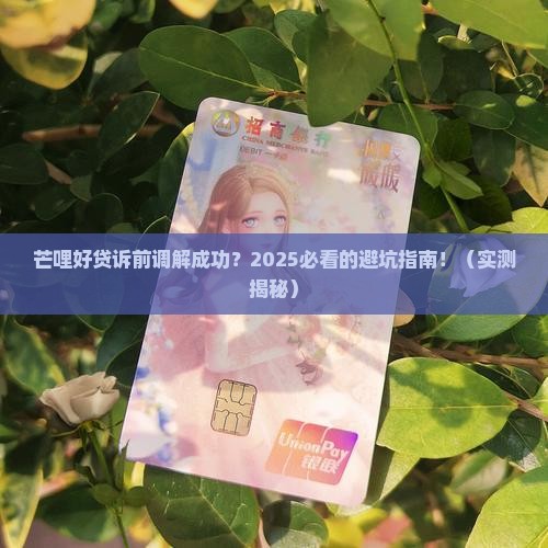 芒哩好贷诉前调解成功