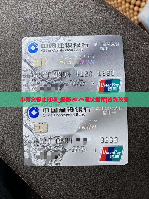 小芽贷停止催收