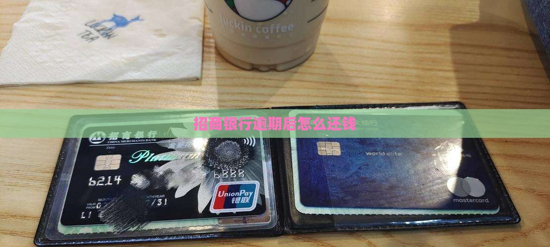 招商银行逾期后怎么还钱