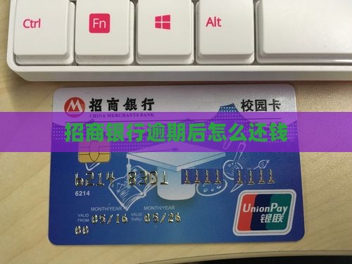 招商银行逾期后怎么还钱