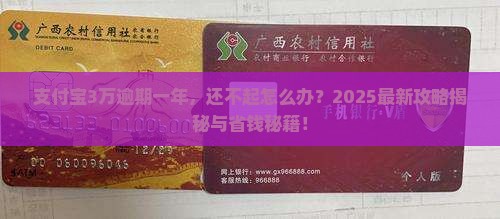 支付宝3万逾期一年了还不起情况及应对措施