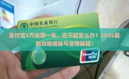 支付宝3万逾期一年了还不起情况及应对措施
