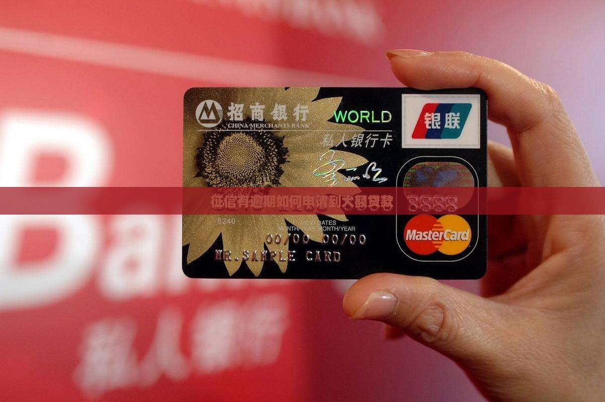 有逾期怎么能申请到大额贷款