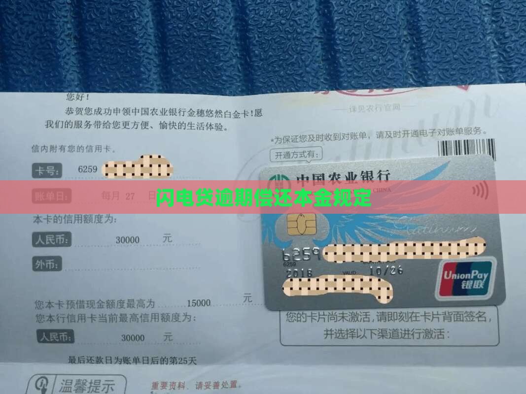 闪电贷逾期偿还本金规定