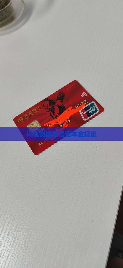 闪电贷逾期偿还本金规定